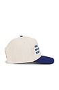 view 3 of 3 Trifecta Two Tone 5 Panel Snapback Hat in Natural & Royal