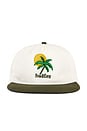 view 1 of 3 Costa Sol Two Tone 5 Panel Snapback Hat in Natural