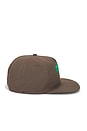 view 3 of 3 Bent Palm 5 Panel Strapback Hat in Brown