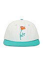 view 1 of 2 Poppy Short Brim Snapback Hat in White