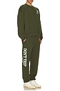 view 6 of 6 La Palma Heavy Fleece Sweatpants in Olive