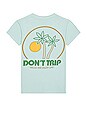 view 1 of 5 Sun Palms Tee in Pale Green