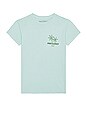 view 2 of 5 Sun Palms Tee in Pale Green