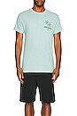 view 5 of 5 Sun Palms Tee in Pale Green