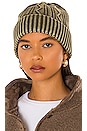 view 1 of 3 Stormi Washed Cable Beanie in Olive