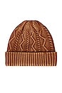view 2 of 2 Stormi Washed Cable Beanie in Whiskey