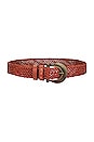 Free People - BRIX BELT