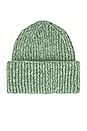 view 3 of 3 Harbor Marled Ribbed Beanie in Pine