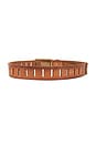 view 2 of 3 x We The Free Jona Belt in Russet