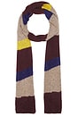 view 1 of 2 Carina Swirl Scarf in Burgundy