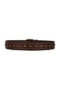 view 2 of 3 x We The Free Sola Stud Belt in Cognac