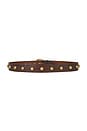view 2 of 3 Rhodes Stud Belt in Cognac
