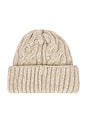 view 3 of 3 Coast Line Beanie in Fawn