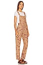 view 2 of 4 Ziggy Harmony Overall in Desert Combo