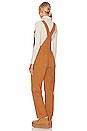 view 3 of 3 ZIGGY オーバーオール in Tan