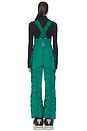 view 3 of 5 Lift Laugh Love Ski Bib in Green Glow