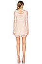 view 3 of 4 Deco Lace Mini Dress in Ivory Combo