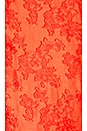 view 5 of 4 Buona Sera Maxi Dress in Red
