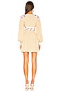 view 3 of 3 Wonderland Mini Dress in Ivory