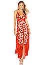 view 4 of 4 Paradise Printed Maxi Dress in Red