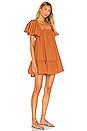 view 2 of 3 Imogene Mini Dress in Terra
