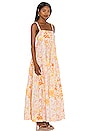 view 2 of 3 Park Slope Maxi Dress in Light Combo