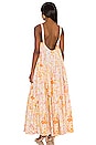view 3 of 3 Park Slope Maxi Dress in Light Combo