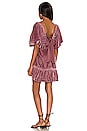 view 3 of 3 Easy To Love Mini Dress in Dried Currant