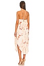 view 3 of 3 MAXIVESTIDO AUDREY PRINTED in Copper & Rose Combo
