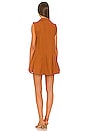 view 3 of 3 Naomi Mini Dress in Sienna