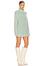 view 2 of 3 Big City Turtleneck in Sea Spruce Combo