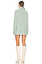 view 3 of 3 Big City Turtleneck in Sea Spruce Combo