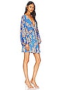 view 2 of 3 Printed Arzel Mini Dress in Botanical Combo