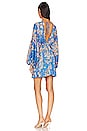 view 3 of 3 Printed Arzel Mini Dress in Botanical Combo