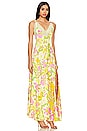view 2 of 3 All A Bloom Maxi Dress In Lily Combo in Lily Combo