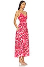 view 2 of 3 Sweet Nothings Midi Dress in Gardenia Combo