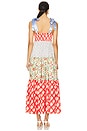 view 3 of 3 Bluebell Maxi Dress in Cherry Combo