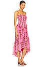 view 2 of 4 Alejandra Midi Dress in Hot Pink Combo