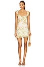 view 1 of 3 Bali Flora Mini Dress in Tea Combo