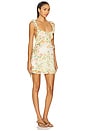 view 2 of 3 Bali Flora Mini Dress in Tea Combo