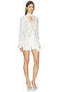 view 2 of 4 First Crush Lace Tunic in Ivory