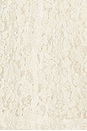 view 5 of 4 MINIVESTIDO DE ENCAJE SLOW BURN in Natural Combo