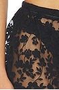 view 7 of 6 X Intimately Early Sunsets Lace Short in Black