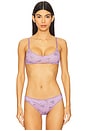 view 1 of 4 x Intimately FP Printed Pointelle Bralette in Grape Combo