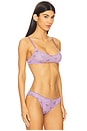 view 2 of 4 x Intimately FP Printed Pointelle Bralette in Grape Combo
