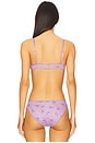 view 3 of 4 x Intimately FP Printed Pointelle Bralette in Grape Combo