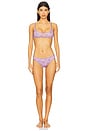 view 4 of 4 x Intimately FP Printed Pointelle Bralette in Grape Combo