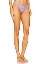 view 2 of 4 x Intimately FP Printed Pointelle Bikini in Grape Combo