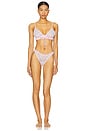 view 4 of 4 TANGA INTIMATELY FP GIA in Fairytale Combo