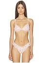 view 1 of 4 x Intimately Save The Date Bralette in Flamingo Flamenco